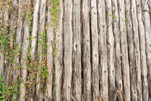 wood log floor texture