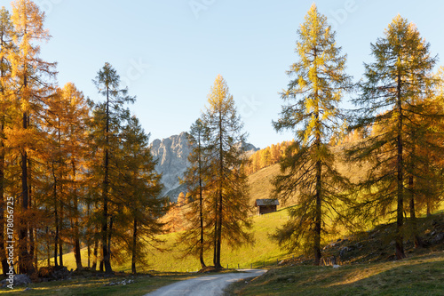 Colourful autumn landscape. Austria, Alps