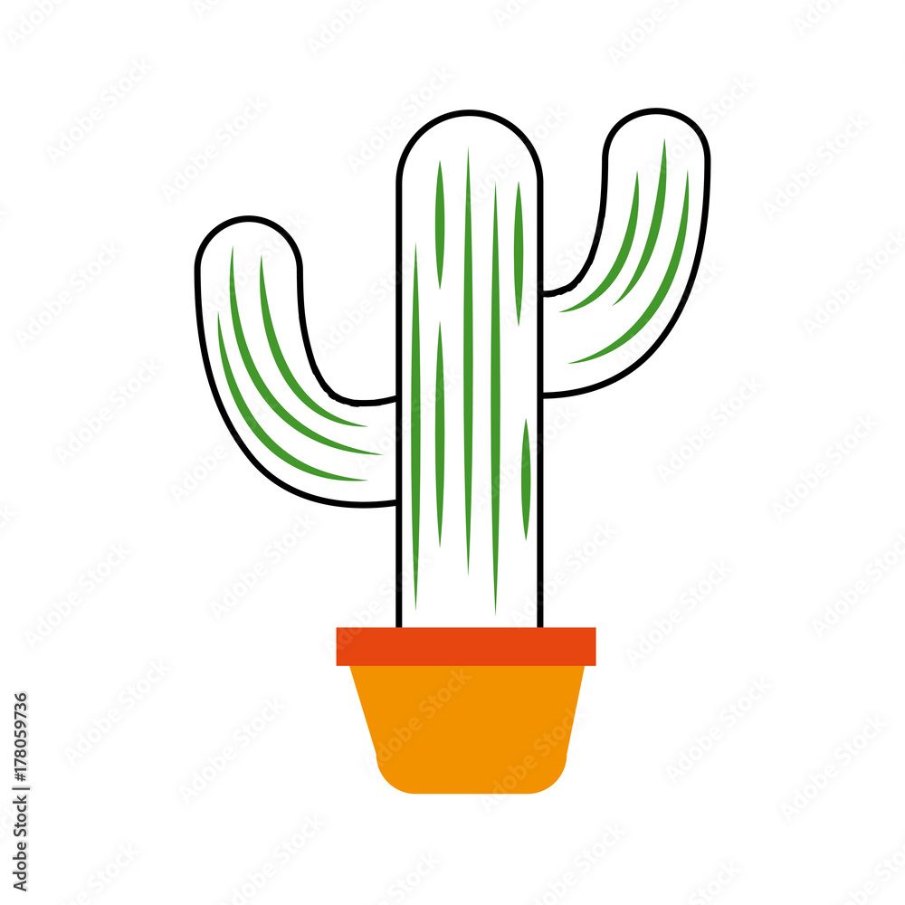 mexican potted cactus natural plant decoration mexican potted cactus natural plant decoration