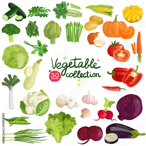 Vegetables And Herbs Collection