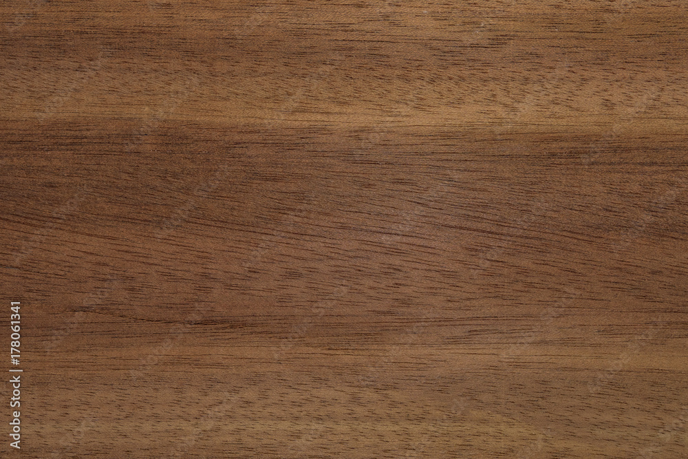 Backdrop or background wooden. Eucalyptus tree.