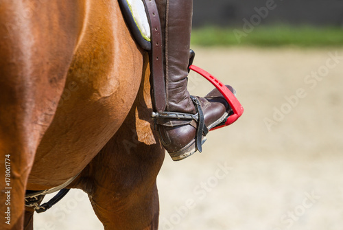 Jockey riding boot © Farmer