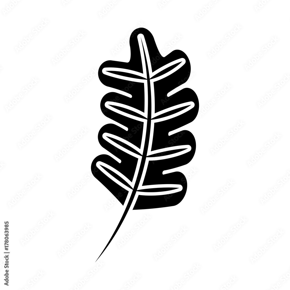 autumn leaf foliage flora decoration autumn leaf foliage flora decoration