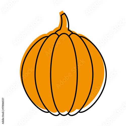 thanksgiving pumpkin dinner decoration celebration