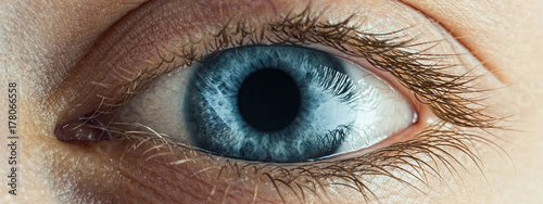 Female Blue Eye With Long Lashes Close Up. Human Eye Macro Detail. photo