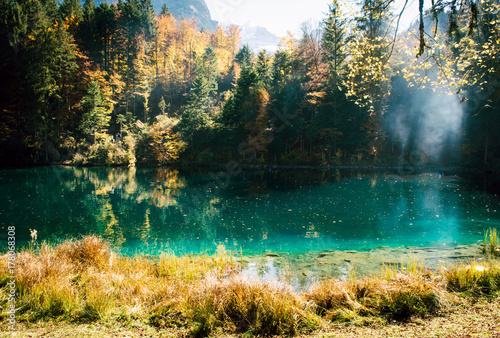 Autumn time at forest lake Blausee.