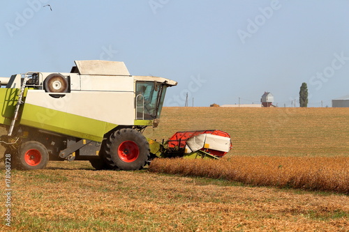 Harvester in the field harvesting millet photo