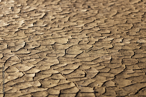Cracks in drought affected earth