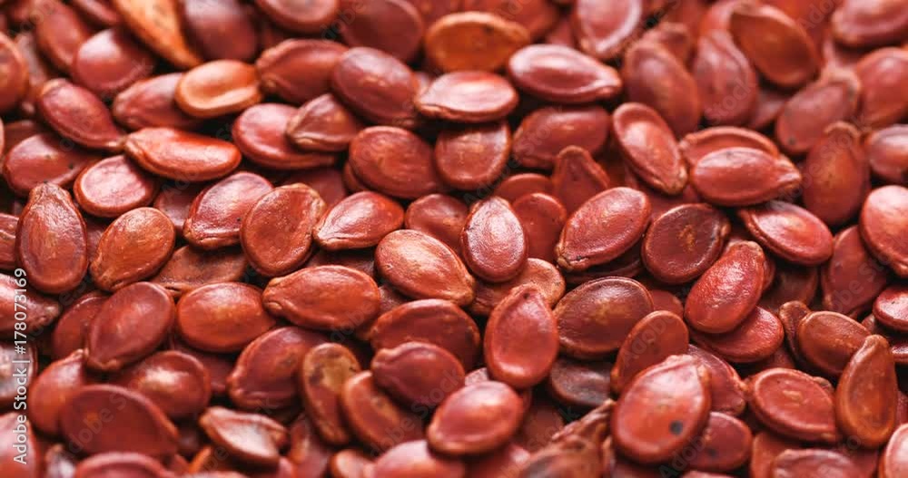 Red watermelon seed