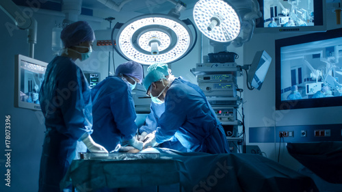 Fotografie, Obraz Medical Team Performing Surgical Operation in Modern Operating Room