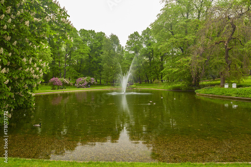 slottsparken pond view in the city oslo photo