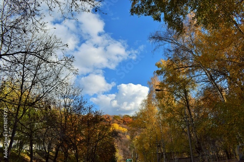 bright and beautiful autumn forest on a background of blue sky with clouds