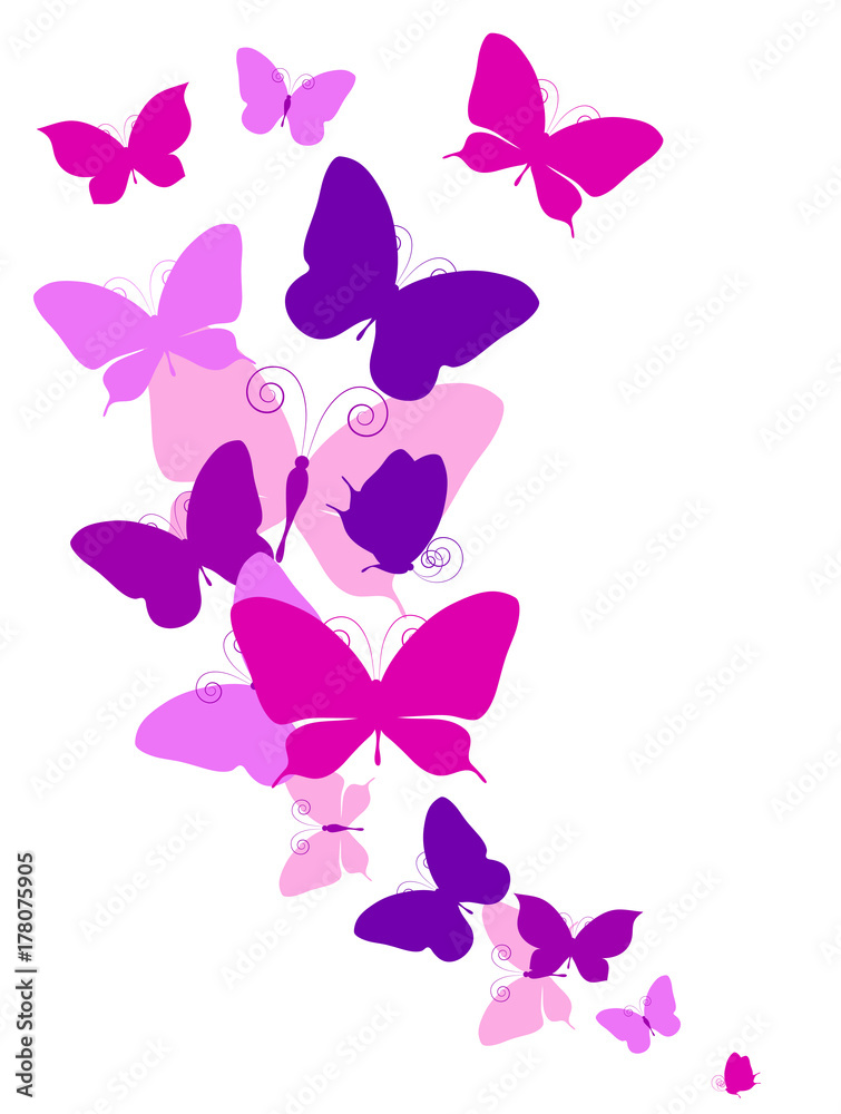 beautiful pink butterflies, isolated on a white beautiful pink butterflies, isolated on a white