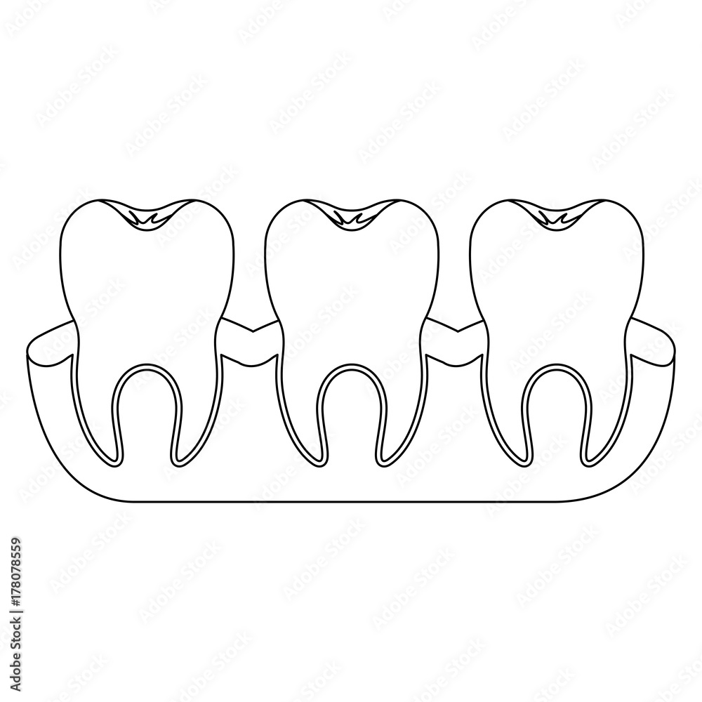 teeth with tooth root view monochrome silhouette teeth with tooth root view monochrome silhouette