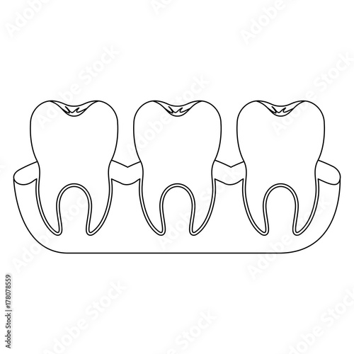 teeth with tooth root view monochrome silhouette