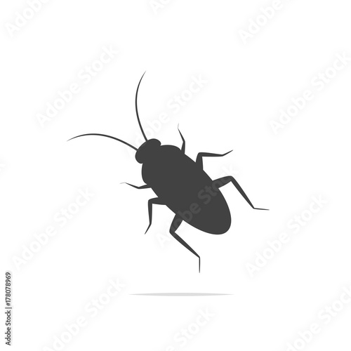 Cockroach vector icon © FARBAI