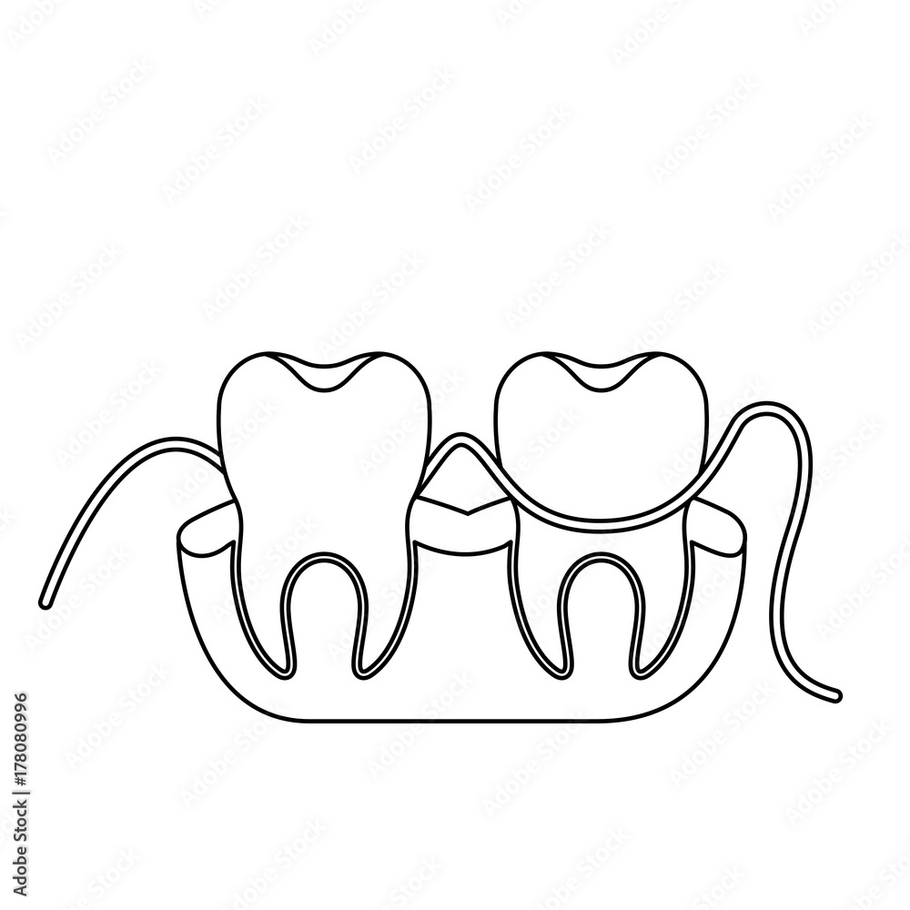 teeth and gums with dental floss between them in monochrome silhouette teeth and gums with dental floss between them in monochrome silhouette