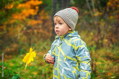 Маленький мальчик гуляет в осеннем парке, держа в руке желтый кленовый листок