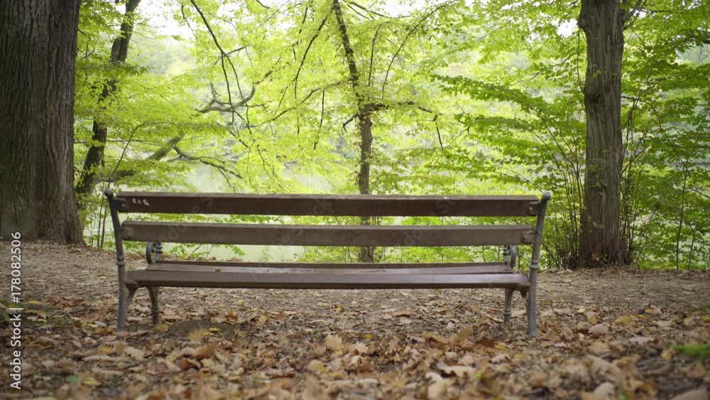 Bench at a Lake in Beautiful Croatian European Forest in Fall Bench at a Lake in Beautiful Croatian European Forest in Fall