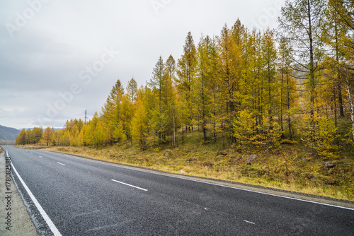 Federal highway M-52 Chuysky tract, asphalt road with markings among the autumn trees.