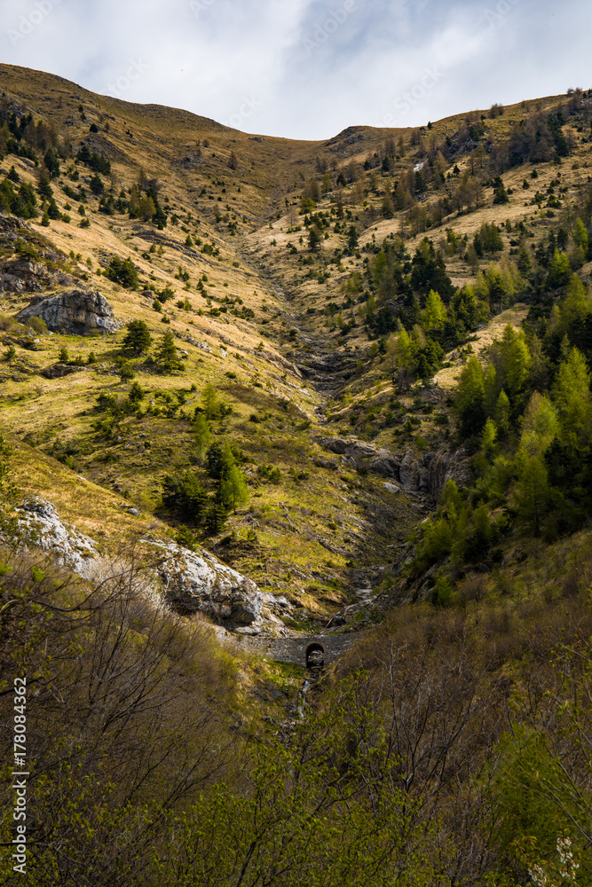 Obraz premium Valle Argentina, Liguria (Italia)