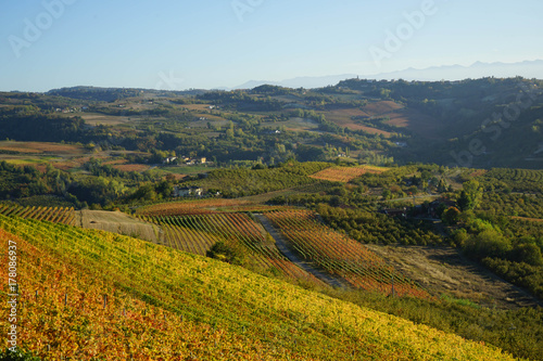 Langhe hills near Diano d'Alba © Cosca
