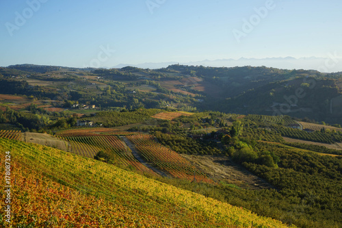 Langhe hills near Diano d Alba