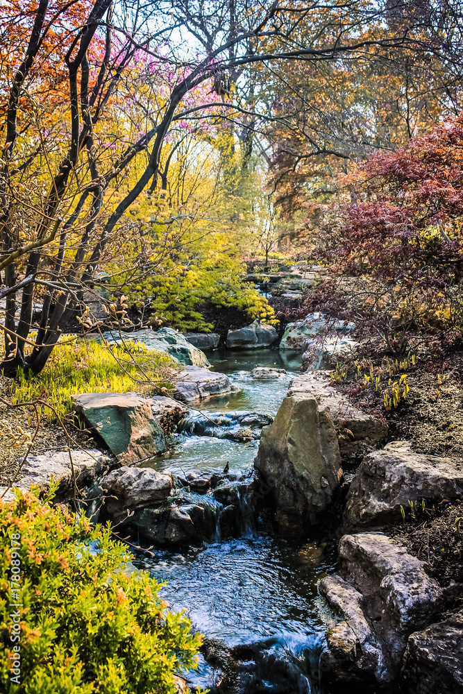 Springtime Brook