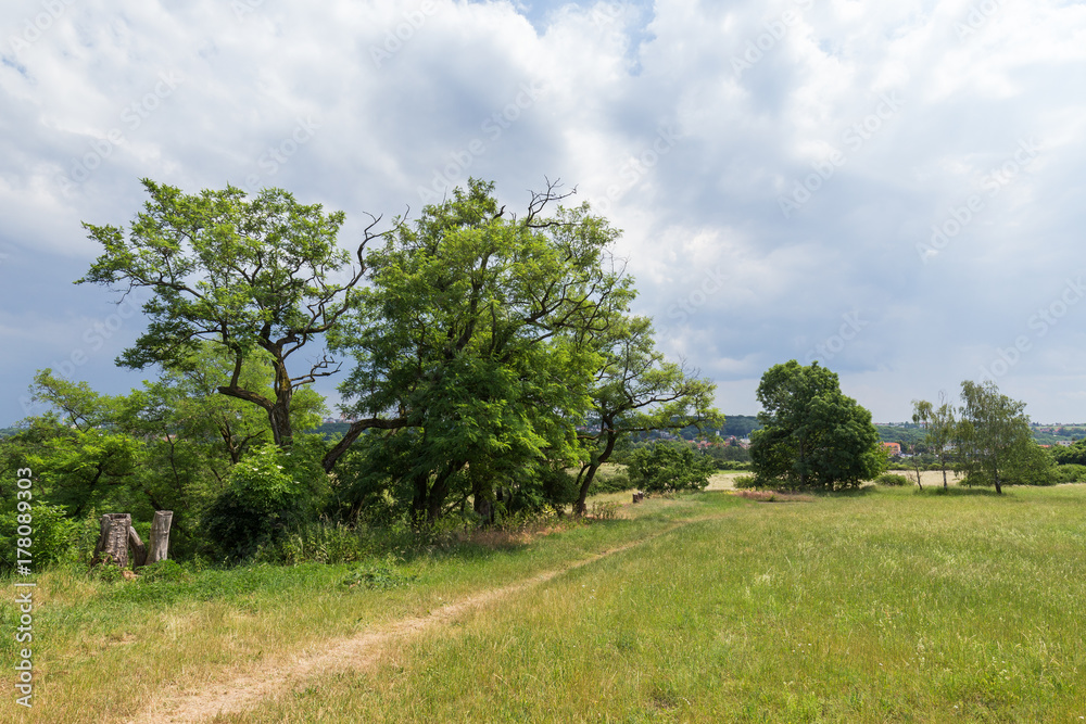 View of grassland, trees and footpath at Divoka Sarka. It's a nature reserve on the outskirts of Prague in Czech Republic. View of grassland, trees and footpath at Divoka Sarka. It's a nature reserve on the outskirts of Prague in Czech Republic.