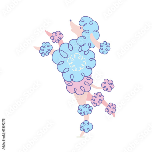 Vector illustration with pretty poodle rearing up silhouette isolated on a white background. Card with funny cartoon doodle character. Design element can be used for t-shirt print, poster, stickers