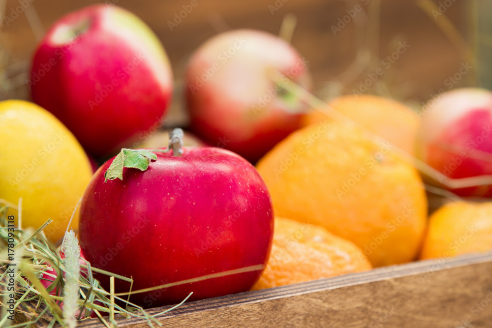 Red apple in basket with fruits and hay, selective focus Red apple in basket with fruits and hay, selective focus