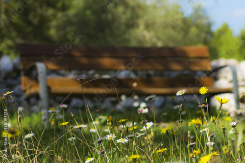 A bench in the garden