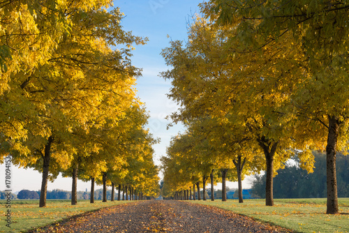 Autumn Sentinals