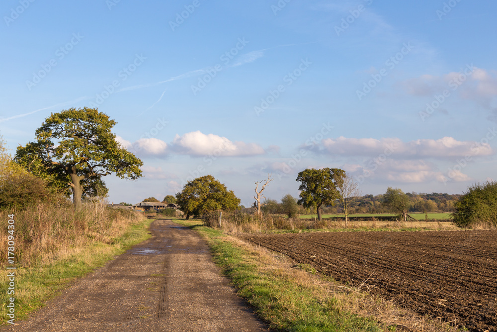 Fototapeta premium Essex countryside in autumn, newly ploughed field with farm track.