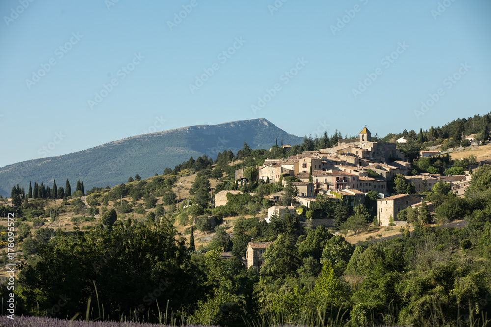 a lavender field with the village of Aurel beyond, the Vaucluse, Provence, France