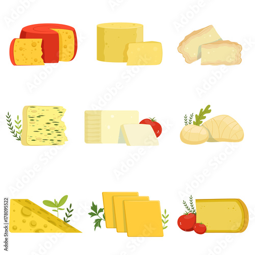 Different types of cheese pieces, popular kind of cheese vector Illustrations
