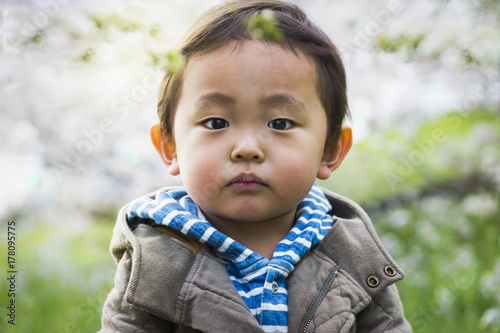 Asian toddle's portrait outdoors in spring photo