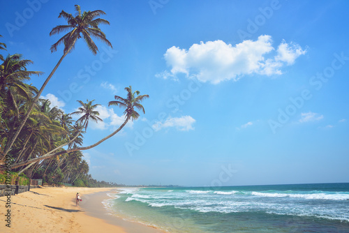 Fototapeta Naklejka Na Ścianę i Meble -  beautiful seascape, tropical beach, Sri Lanka