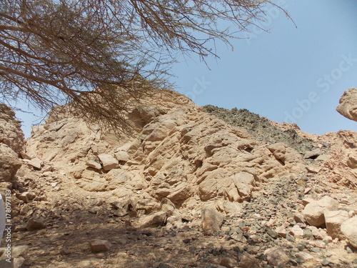 Vászonkép mountain in desert in sharm el-sheikh. Egypt