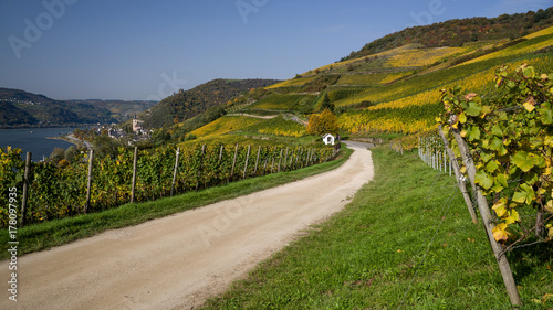 Oberes Mittelrheintal mit Rheinsteig im sonnigen Herbst