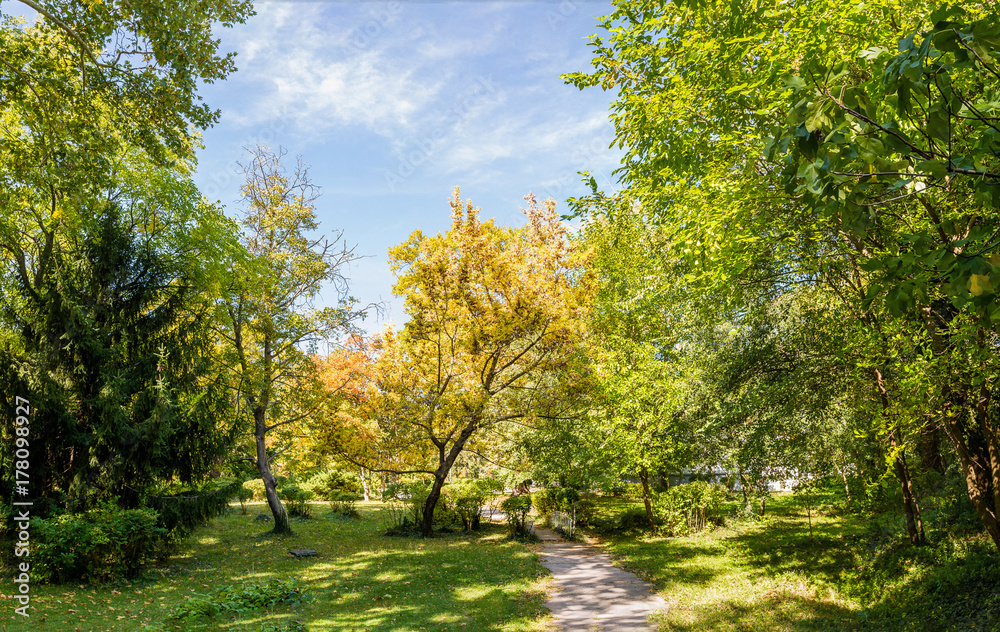 Fototapeta premium Park