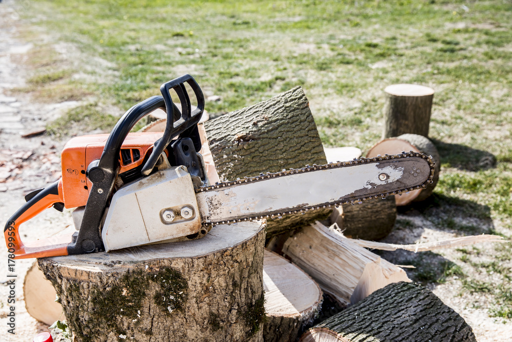 cutting wood with a motor saw