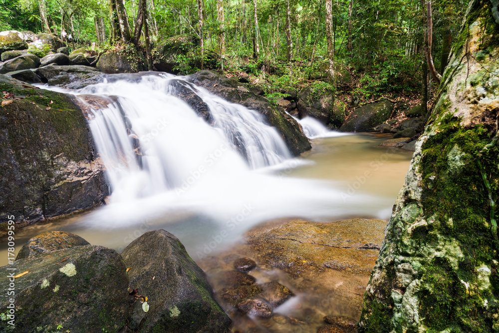 Fototapeta premium Beautiful Waterfall in green environment nature