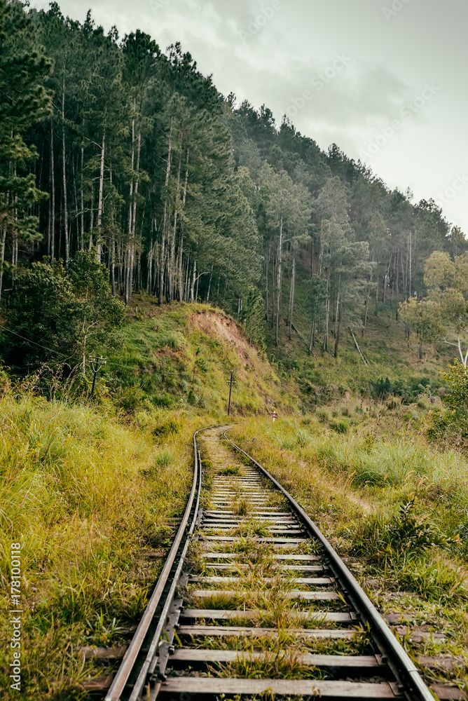 Railway in the jungles of Sri Lanka Railway in the jungles of Sri Lanka