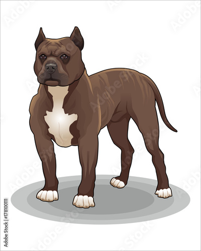 Cartoon of dog-vector drawing-isolated white background