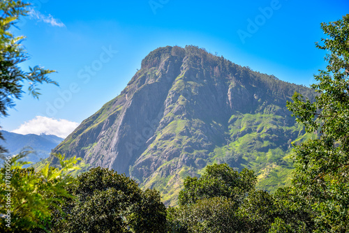 mountain in Sri Lanka  view of Ella Rock