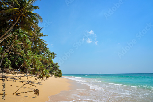 beautiful seascape  tropical beach  Sri Lanka