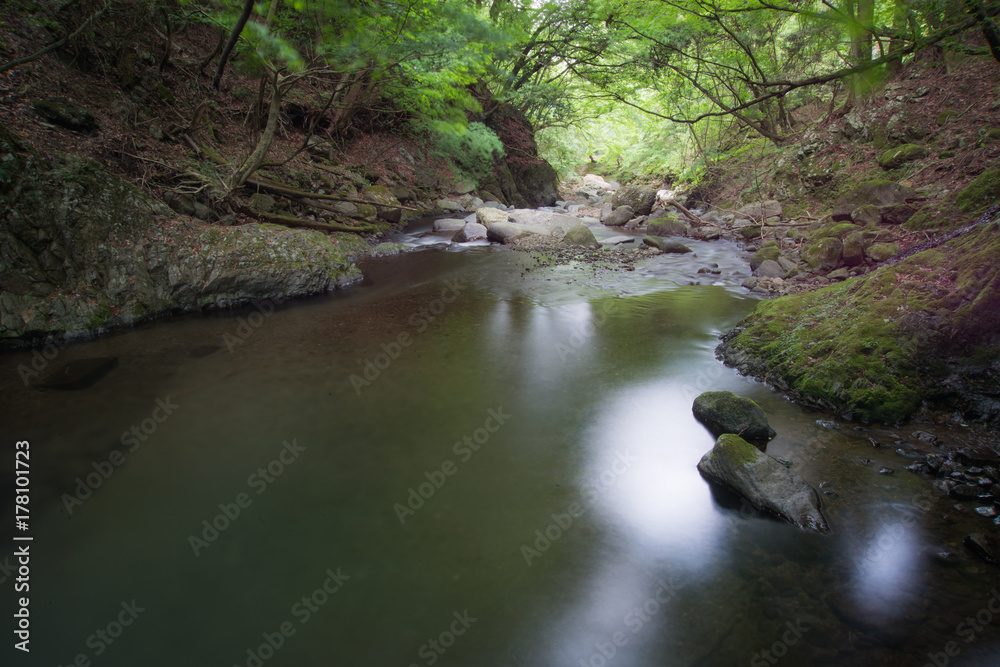 渓流 渓流