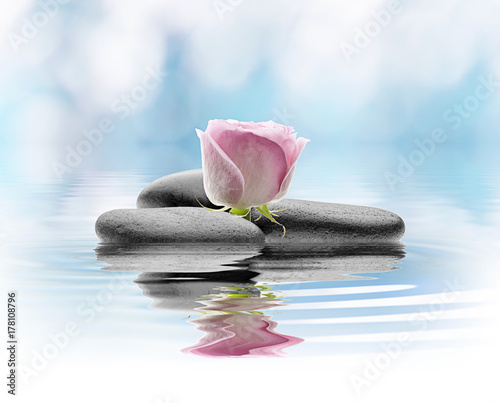 Canvas Print spa de flores y agua