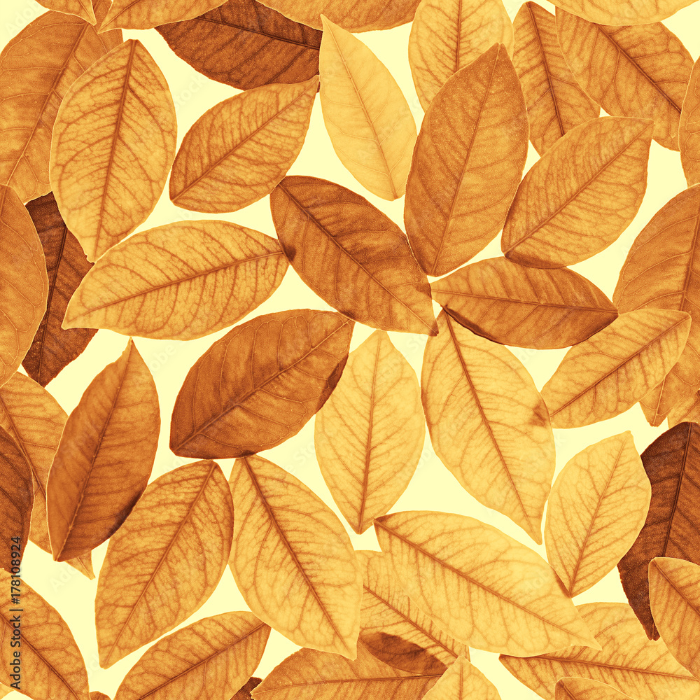 fondo de hojas amarillas
